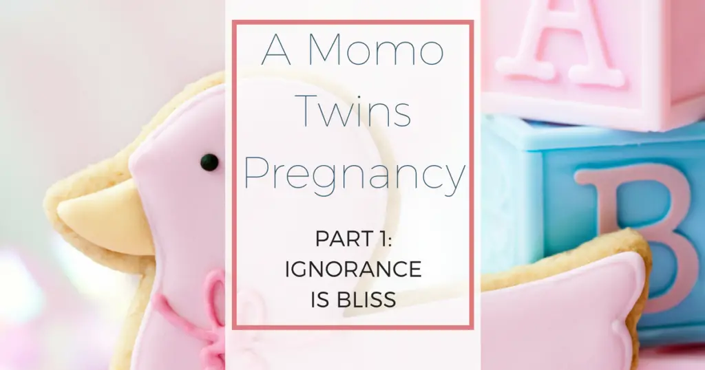 A Momo Twins Pregnancy. High risk twins pregnancy.