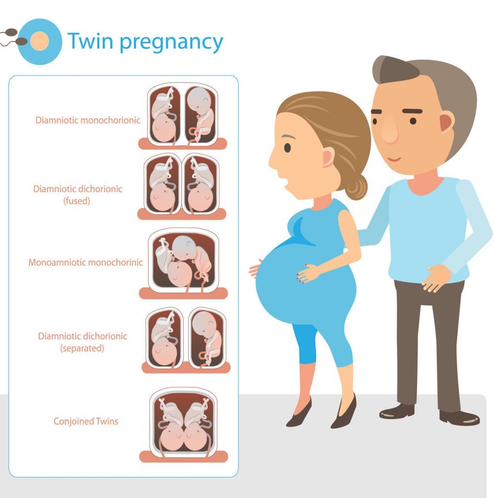 A Momo Twins Pregnancy Part 1 Ignorance is Bliss Jen Merckling