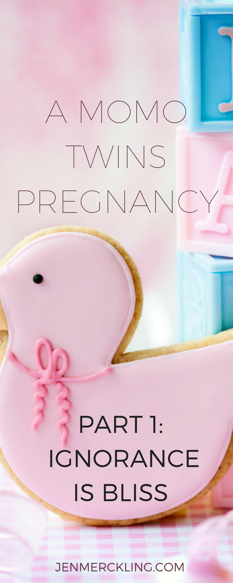 A Momo Twins Pregnancy. A high risk twins pregnancy story.