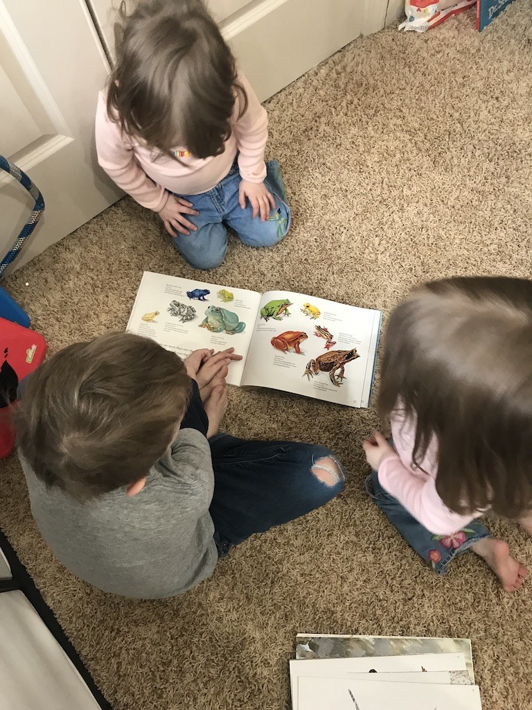Homeschooling multiple ages can be a bit tricky, but using unit studies has helped me keep things both simple and individualized for my children.