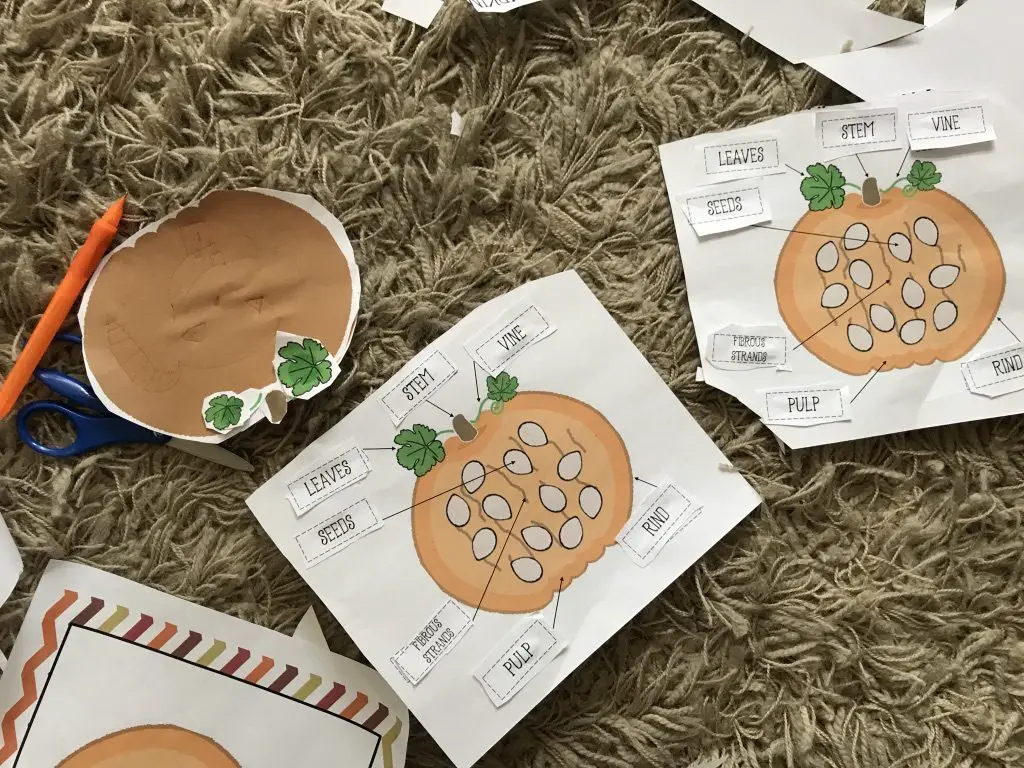Great pumpkin lesson ideas and super simple pumpkin craft for kids! Grab my free printable pumpkin activity and get started with your kids!